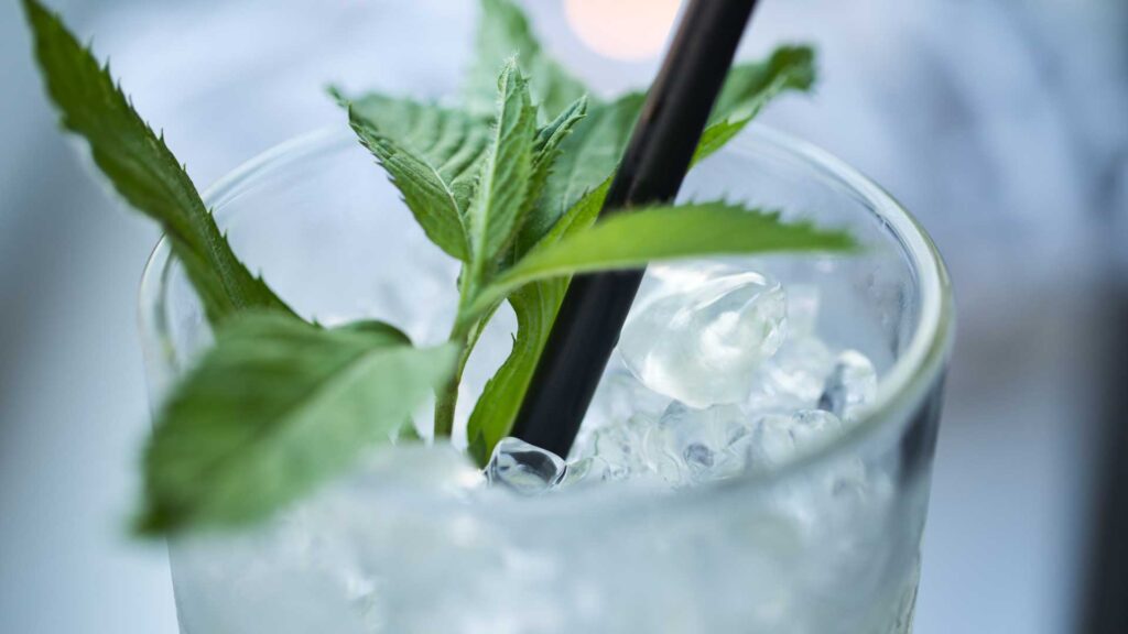 aperitivo-virtuale-coronavirus-Mojito-Coqtail-Milano