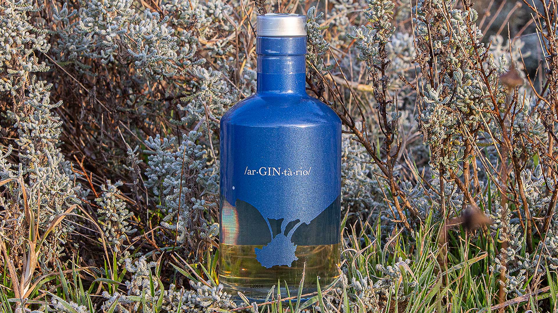 ArGINtario-gin-botaniche-della-maremma-Coqtail-Milano