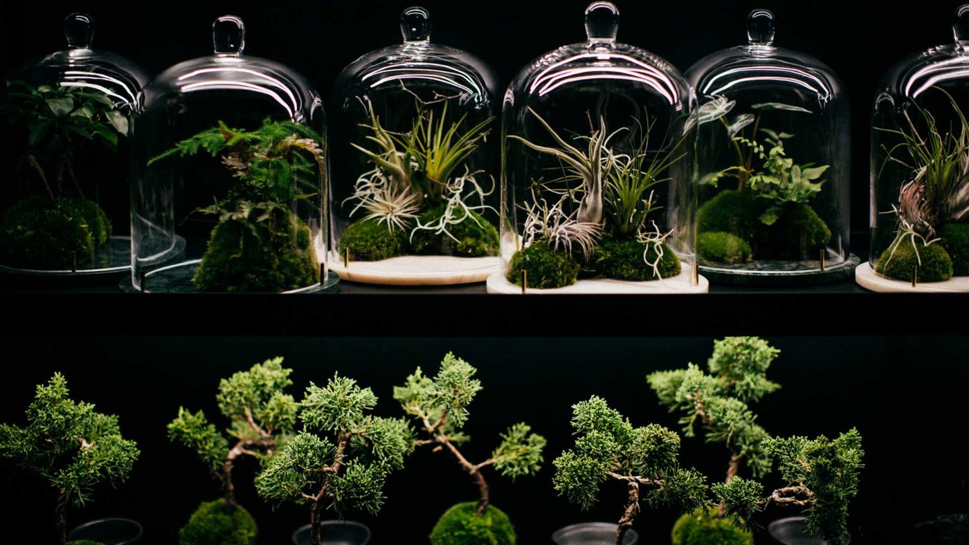 natura-opere-flower-design-Mirror-Bar-Coqtail-Milano