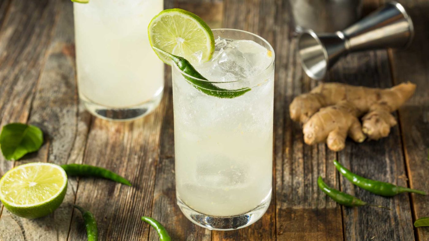 Qual è la differenza tra ginger ale e ginger beer? Coqtail Milano