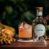 Sogno-Amazzonico-cocktail-giornata-dell'ambiente-Canaima-Gin