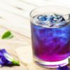 butterfly-pea-tea-ingrediente-cocktail-coqtail-milano