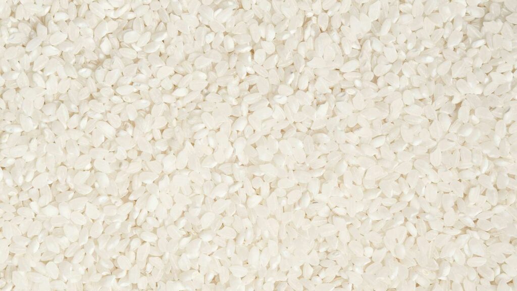 riso-produzione-fermentato-giapponese-coqtail-milano