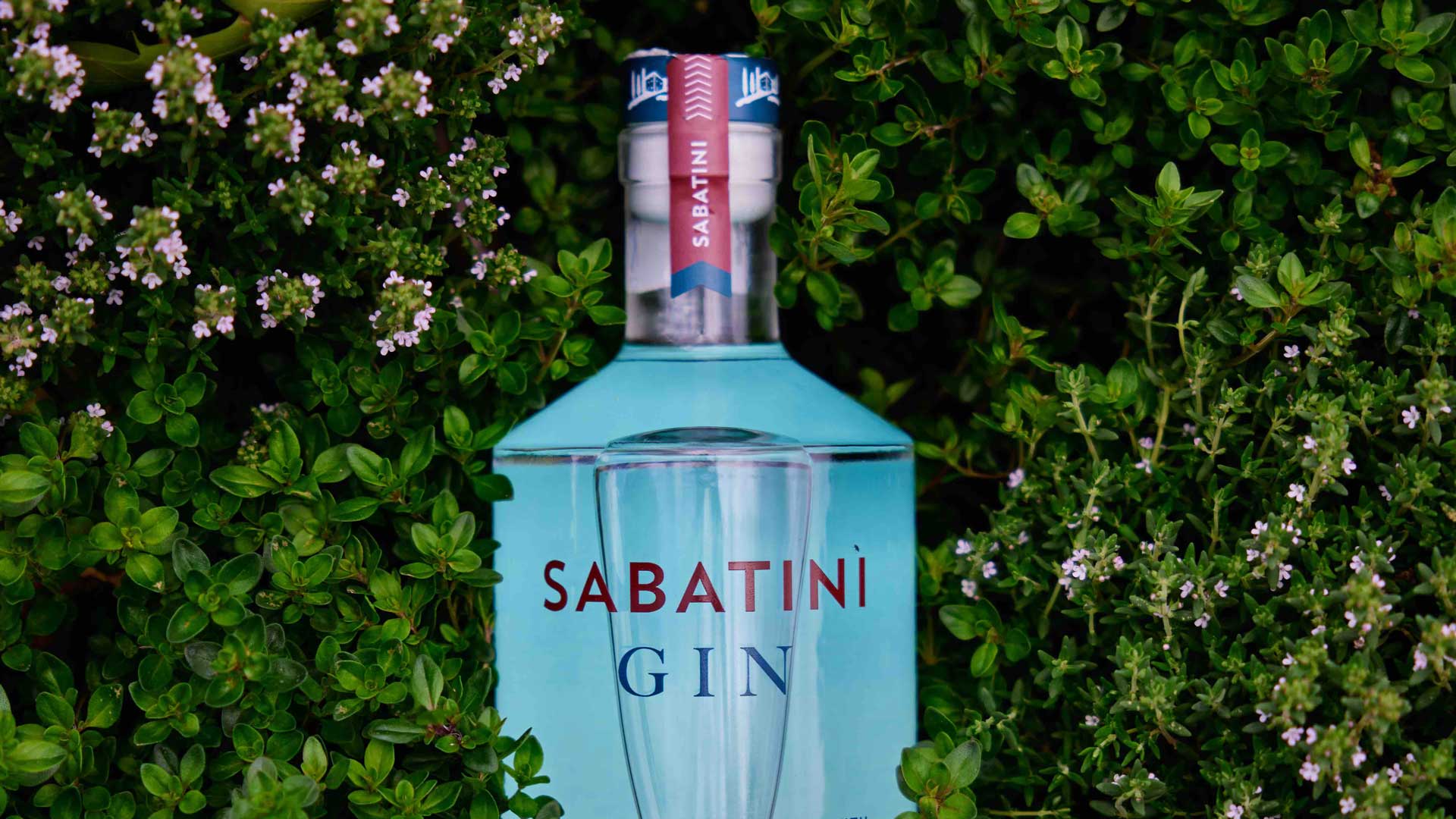 sabatini-gin-pitti-uomo-firenze-coqtail