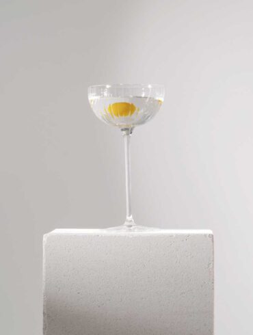 luxury-martini-belvedere-vodka-coqtail