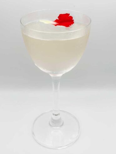 Vesper-Heritage-twist-martini-cocktail-dg-bistrot-coqtail