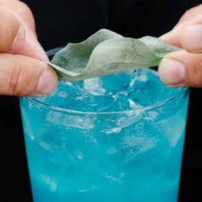 giornata-mondiale-degli-oceani-belvedere-vodka-kenzo-coqtail