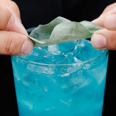 giornata-mondiale-degli-oceani-belvedere-vodka-kenzo-coqtail