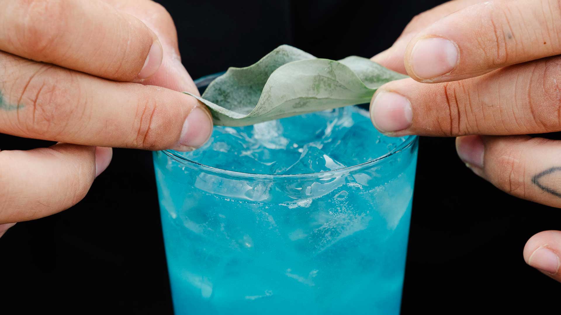 giornata-mondiale-degli-oceani-belvedere-vodka-kenzo-coqtail
