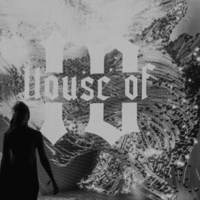 House-of-10-evento-Belvedere-Coqtail