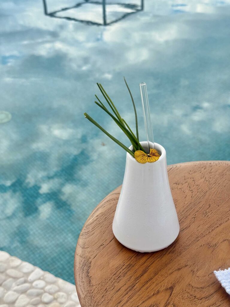 Il-cocktail-Ortaggi-di-Sole-Coqtail