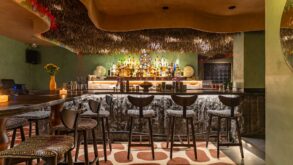 Bancone-del-Wild-bar-Coqtail