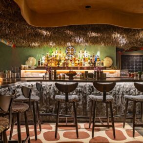 Bancone-del-Wild-bar-Coqtail