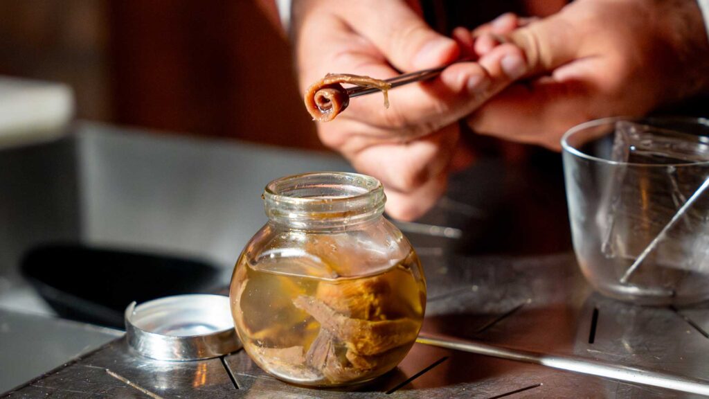 La-preparazione-del-drink-Burro-e-Alici-Coqtail